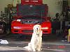 Post Some Pics of your FD! :D  <- Pics of your car go in this thread!!-dsc02344.jpg