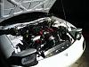 *engine bay pics*-photo-1-.jpg