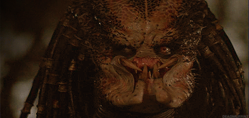 Name:  Predator_zpsygbkbdpj.gif
Views: 1146
Size:  992.0 KB