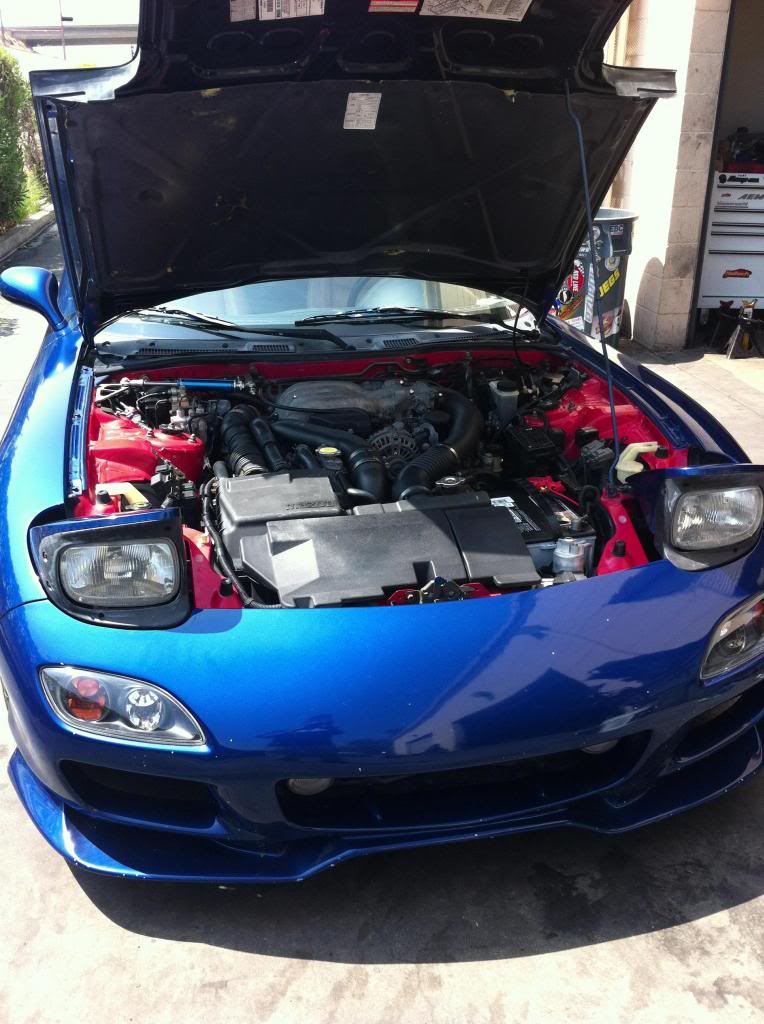 Name:  photo15.jpg
Views: 435
Size:  109.2 KB