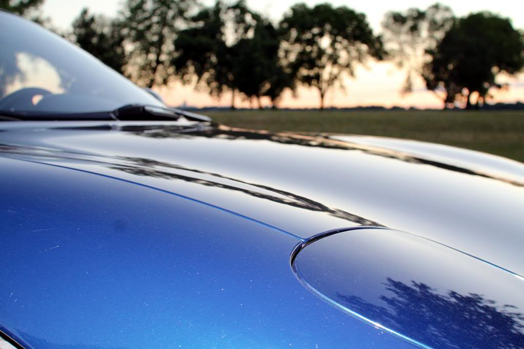 Name:  934684c7-c445-4e08-b1c1-d0968a5efca0_zps2c716d78.jpg
Views: 499
Size:  68.3 KB