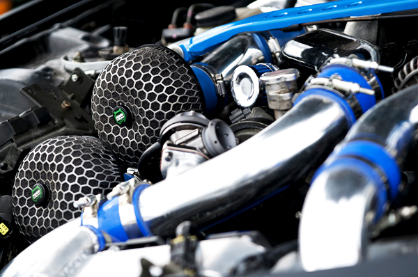 Name:  DSC8481.jpg
Views: 428
Size:  236.0 KB