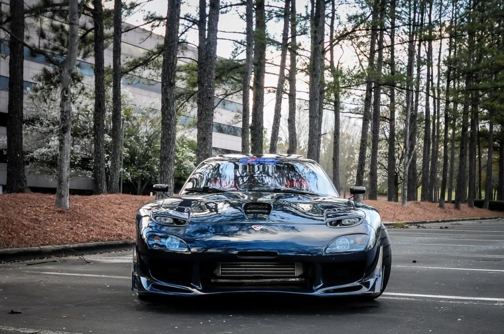 Name:  DSC_6530_zpsd1e9433a.jpg
Views: 567
Size:  152.6 KB