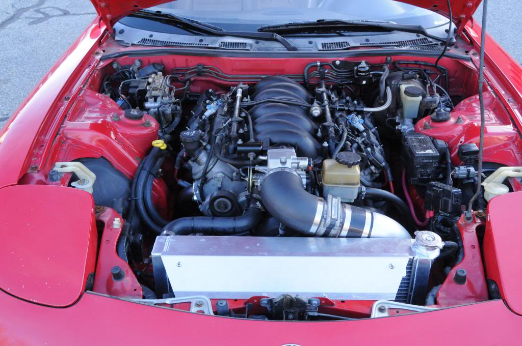 Name:  DSC_9668_zps02861d2a.jpg
Views: 246
Size:  108.1 KB