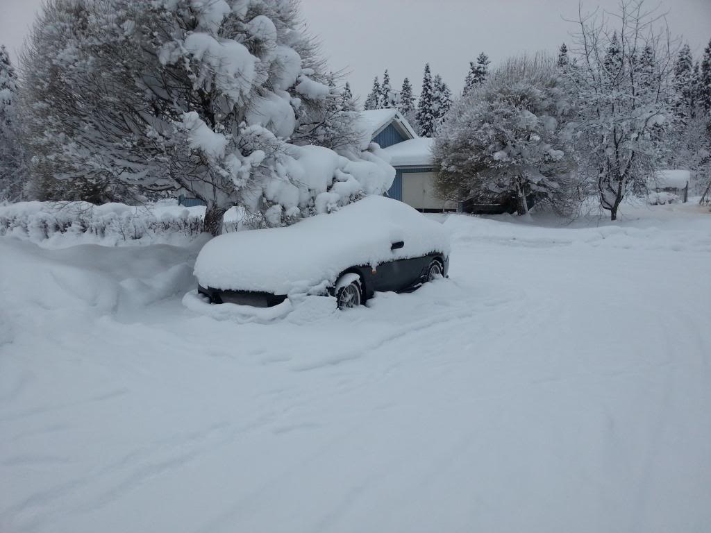 Name:  20121226_120118_zps7baaa5d7.jpg
Views: 218
Size:  82.3 KB