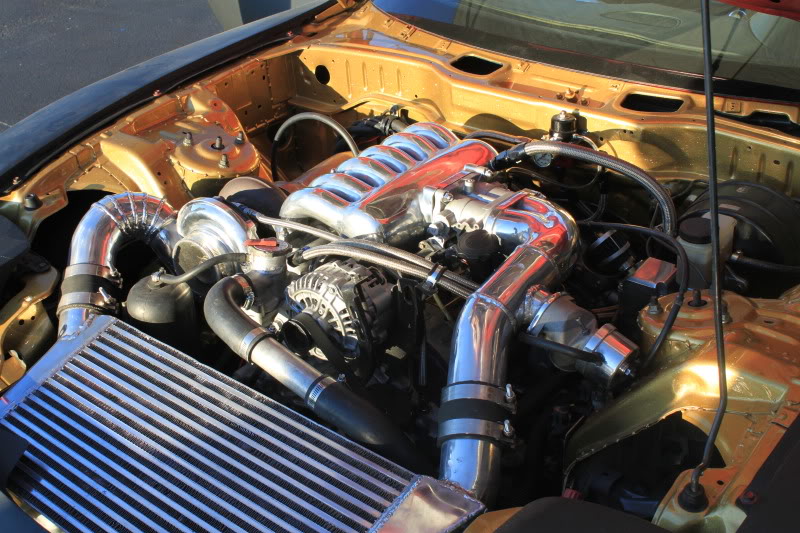 Name:  CAMPO013.jpg
Views: 414
Size:  125.2 KB