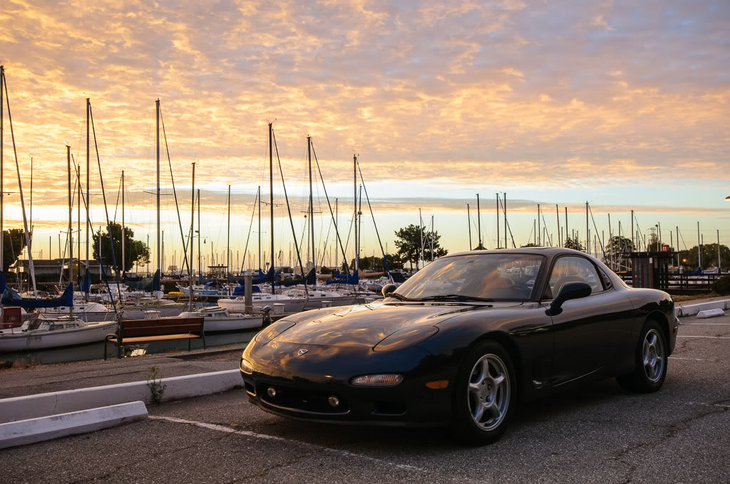 Name:  DSC_7295.jpg
Views: 196
Size:  155.3 KB