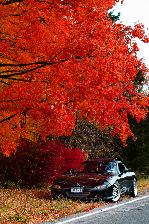 Name:  DSC_0042copy-1.jpg
Views: 7354
Size:  629.2 KB