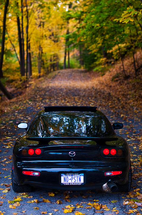 Name:  DSC_0300copy.jpg
Views: 7423
Size:  460.7 KB
