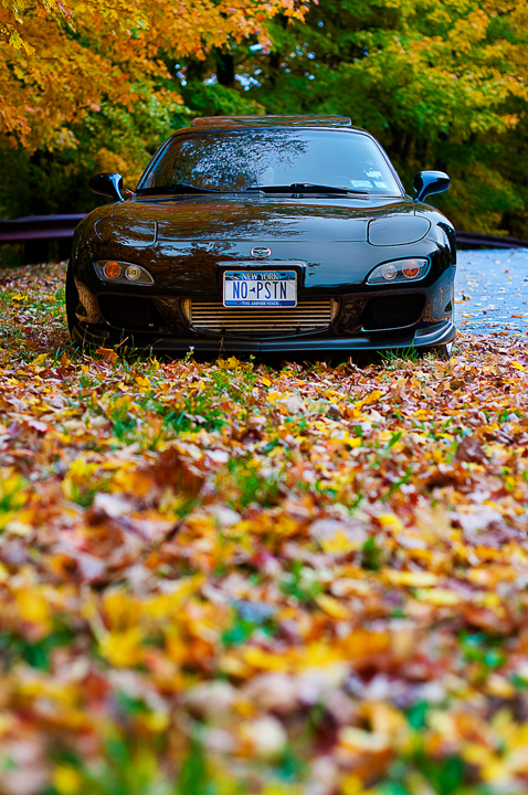 Name:  DSC_0305copy.jpg
Views: 7378
Size:  493.7 KB