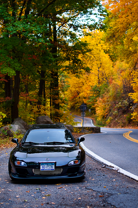 Name:  DSC_0331copy.jpg
Views: 7299
Size:  548.9 KB