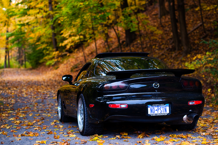 Name:  DSC_0292.jpg
Views: 7256
Size:  441.7 KB
