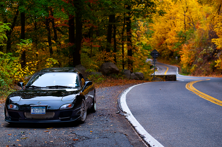 Name:  DSC_0329.jpg
Views: 7416
Size:  510.0 KB