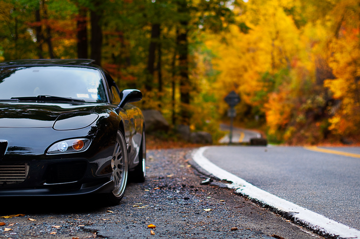 Name:  DSC_0333.jpg
Views: 7385
Size:  380.5 KB