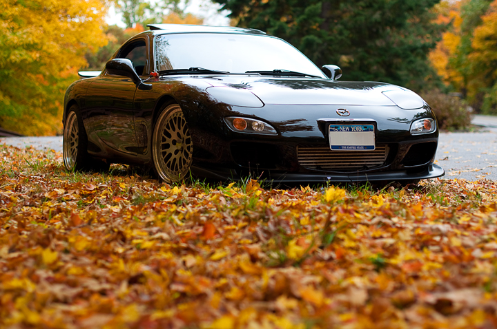 Name:  DSC_0309.jpg
Views: 7319
Size:  406.6 KB