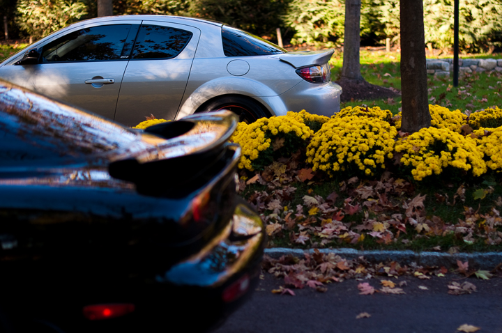 Name:  DSC_0146.jpg
Views: 1048
Size:  356.0 KB