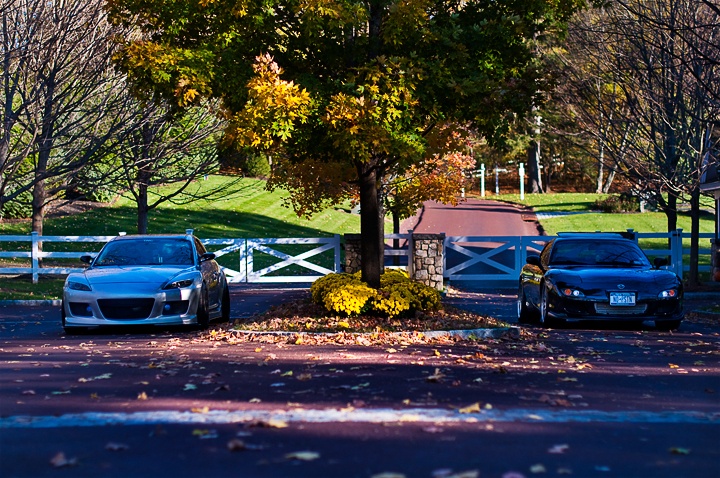 Name:  DSC_0138.jpg
Views: 895
Size:  563.0 KB
