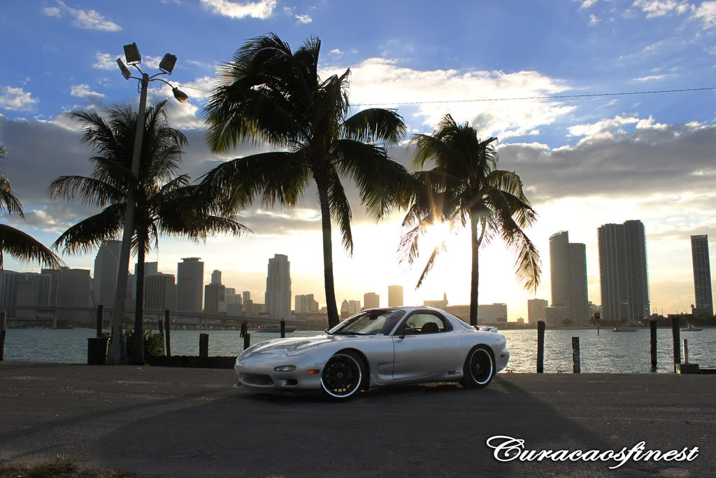Name:  Sunnywaters.jpg
Views: 896
Size:  154.4 KB