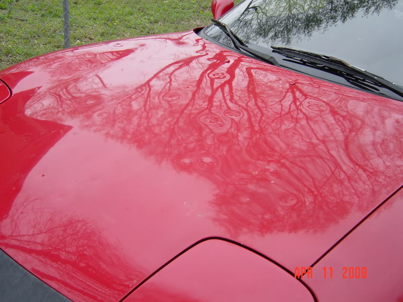 Name:  CarPictures005.jpg
Views: 576
Size:  93.7 KB