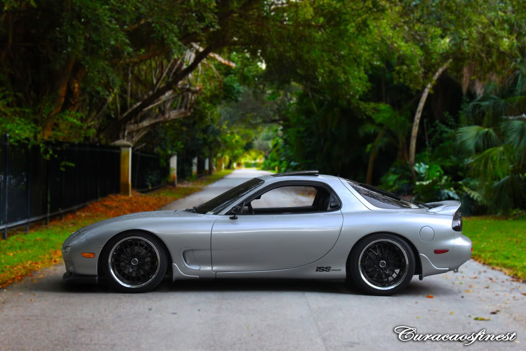 Name:  roxytunnelofleaves.jpg
Views: 421
Size:  111.6 KB