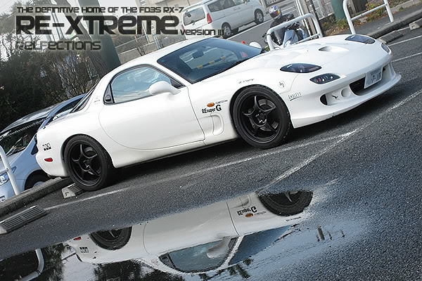 Name:  Rextreme_V3_110303_RF02.jpg
Views: 611
Size:  96.3 KB