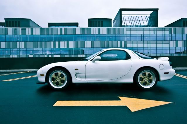 Name: TsRex11of17.jpg
Views: 138
Size: 40.2 KB