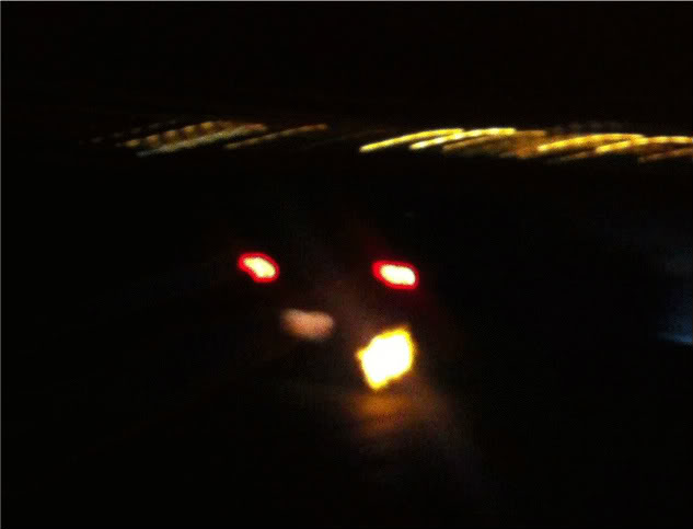 Name:  6805a5db.jpg
Views: 154
Size:  21.0 KB