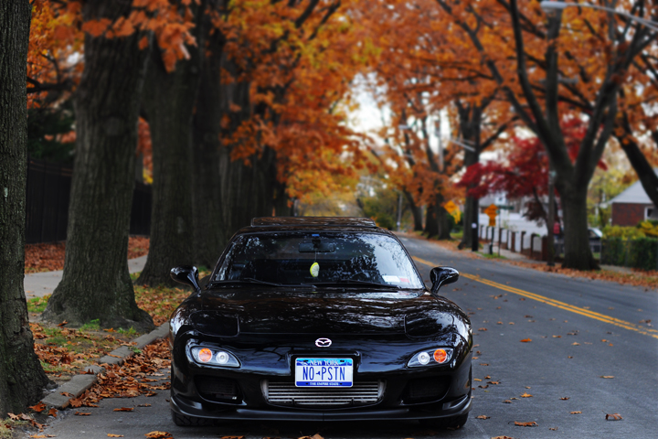 Name:  DSC_0129.jpg
Views: 245
Size:  338.3 KB