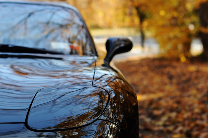 Name:  DSC_0085-2.jpg
Views: 244
Size:  290.6 KB