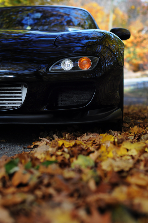 Name:  DSC_0096-1.jpg
Views: 255
Size:  289.0 KB