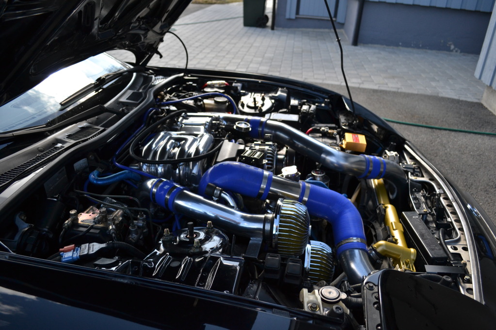 Name:  DSC_0592.jpg
Views: 246
Size:  220.9 KB