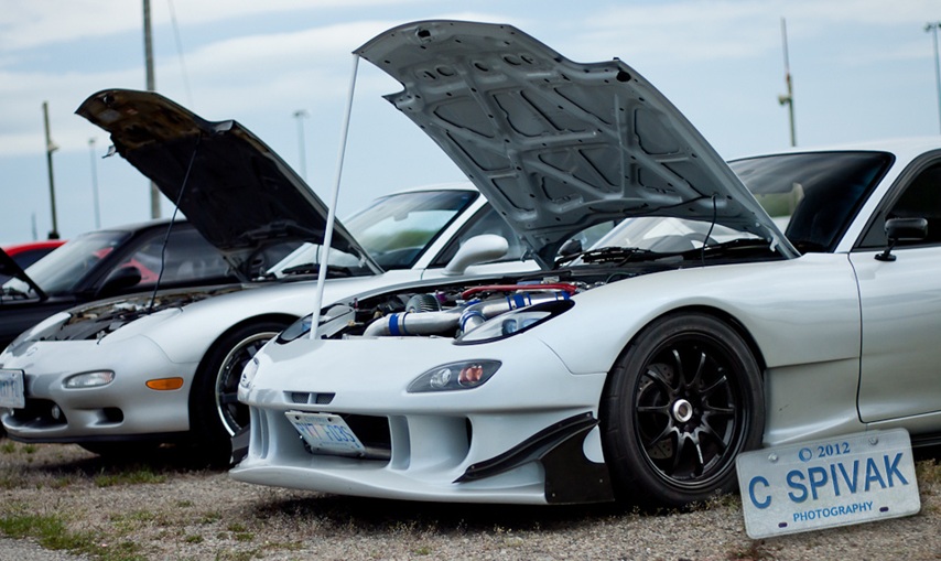 Name:  shiningmonkey1.jpg
Views: 330
Size:  145.3 KB