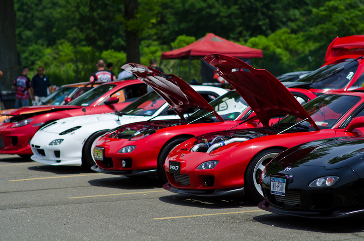 Name:  DSC_9630.jpg
Views: 306
Size:  370.0 KB