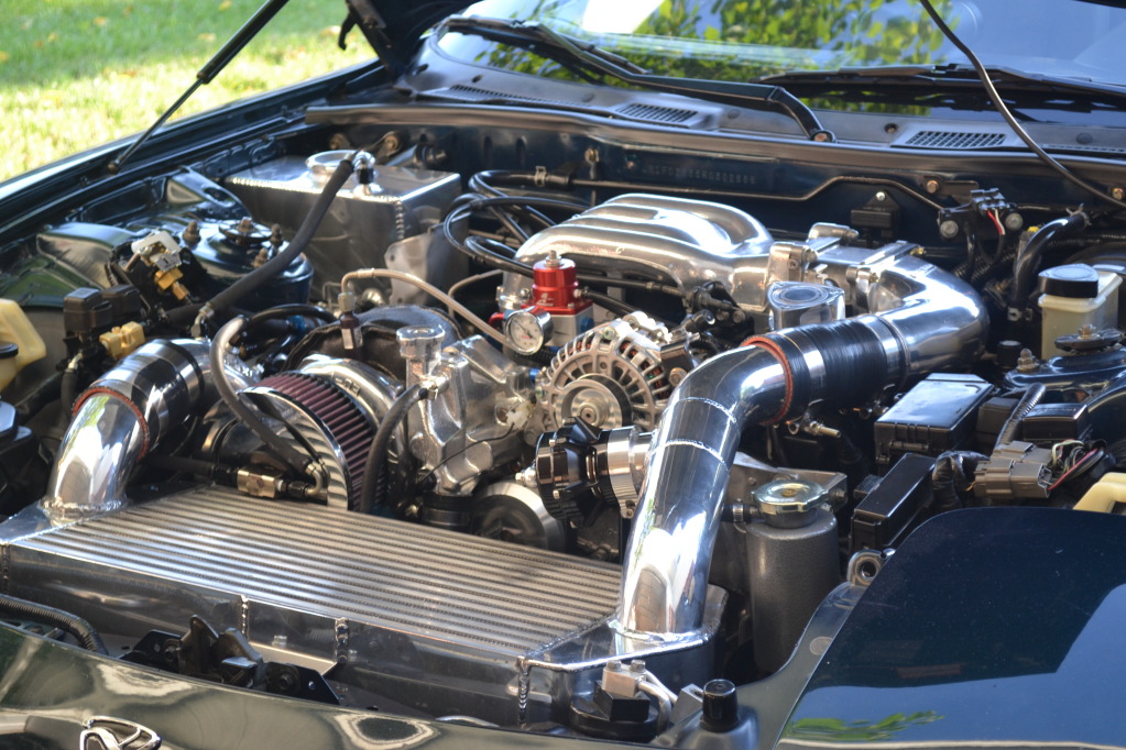 Name:  DSC_0304.jpg
Views: 458
Size:  257.9 KB