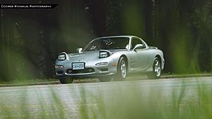 The official SSM photo thread!-img_5379.jpg