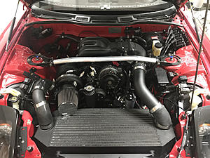 *engine bay pics*-photo780.jpg