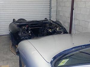 What did you do to your FD today?-whwqhnb.jpg