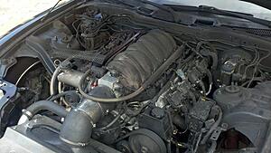 *engine bay pics*-5qkdwl.jpg