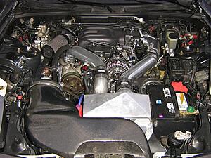 *engine bay pics*-bnwgu.jpg