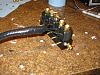 Custom replacement solenoid system-untitled-4.jpg