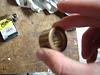 Pilot Bearing=Bushing??-iiii.jpg