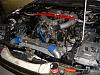 Engine bay pictures.-engine-1.jpg