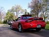 afternoon photoshoot-rear1a.jpg