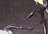 Found a wire on the ECU connected to Ground-img_0101a.jpg