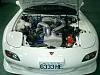 CUSCO roll cage installed-cimg0094%7E1.jpg