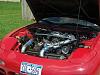 Aleem's Photoshoot Fd-8.jpg