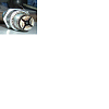 Spark plugs-test.png