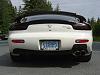 Dual Tip Exhaust // Racing Beat or M2?-guard.jpg