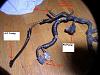 What is this broken wire?-diagram2.jpg