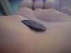FOund small thin chuncks of metal coming out exhaust-dsc01647.jpg